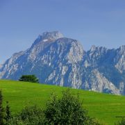 Bild 39