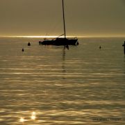 Bild 41