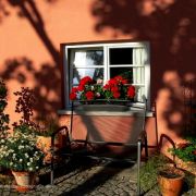 Bild 45